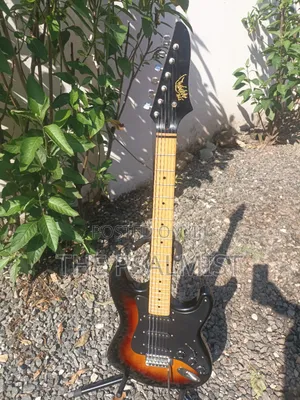 Telecaster Strat the Animal With a Padded Bag