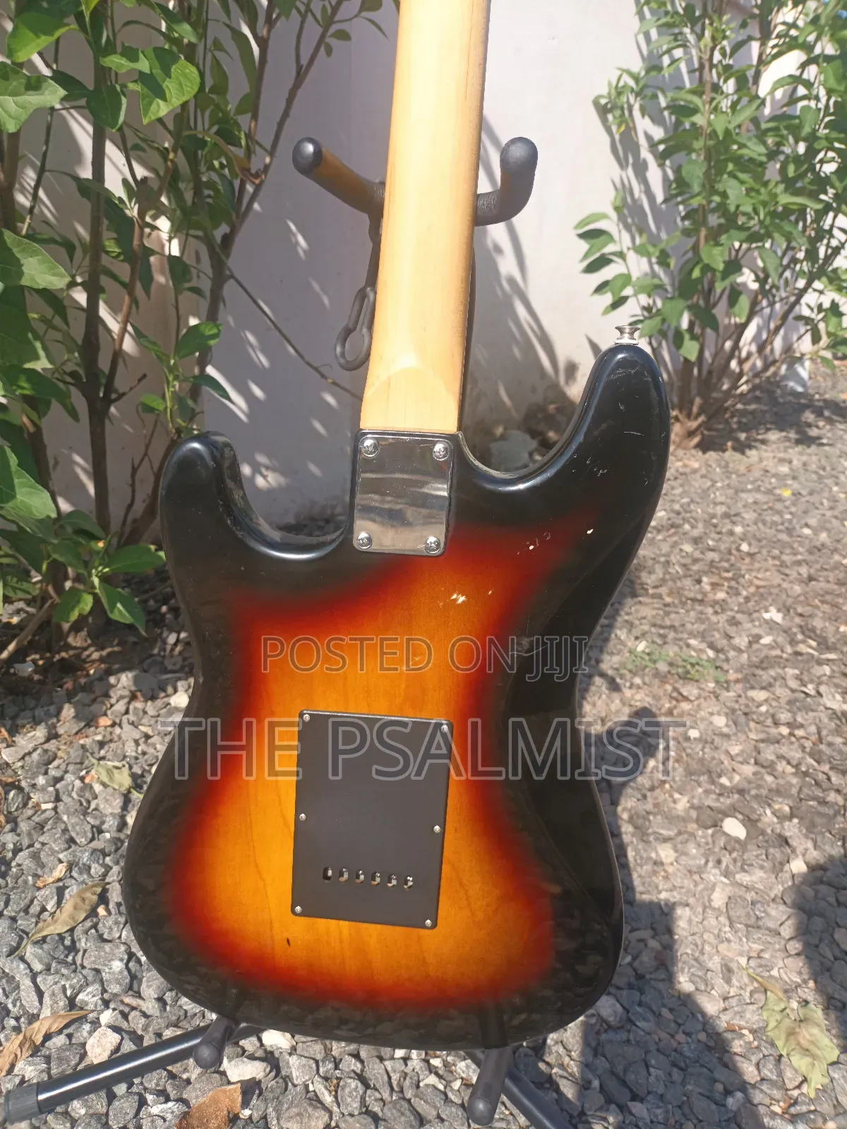 Telecaster Strat the Animal With a Padded Bag