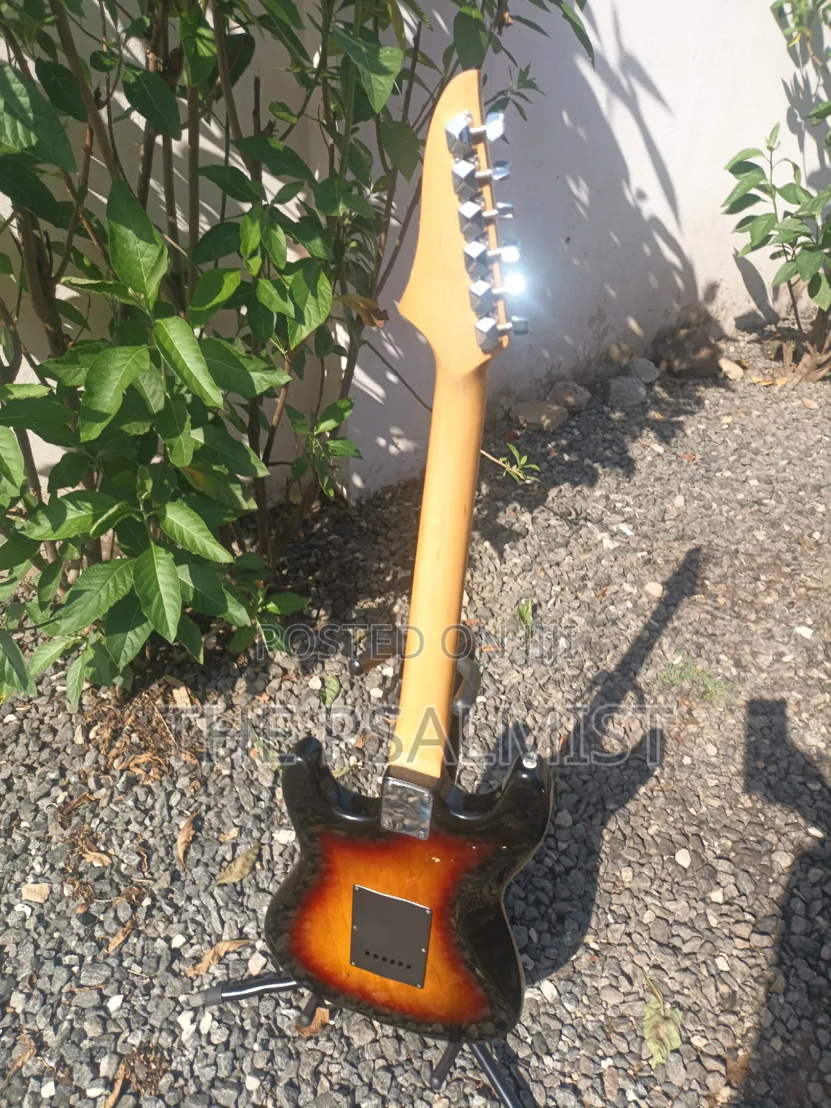 Telecaster Strat the Animal With a Padded Bag