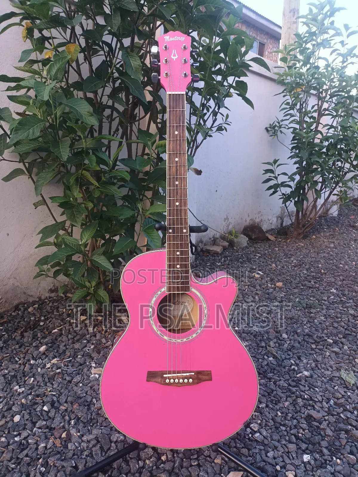 Monterey Ma 15pk Acoustic Guitar
