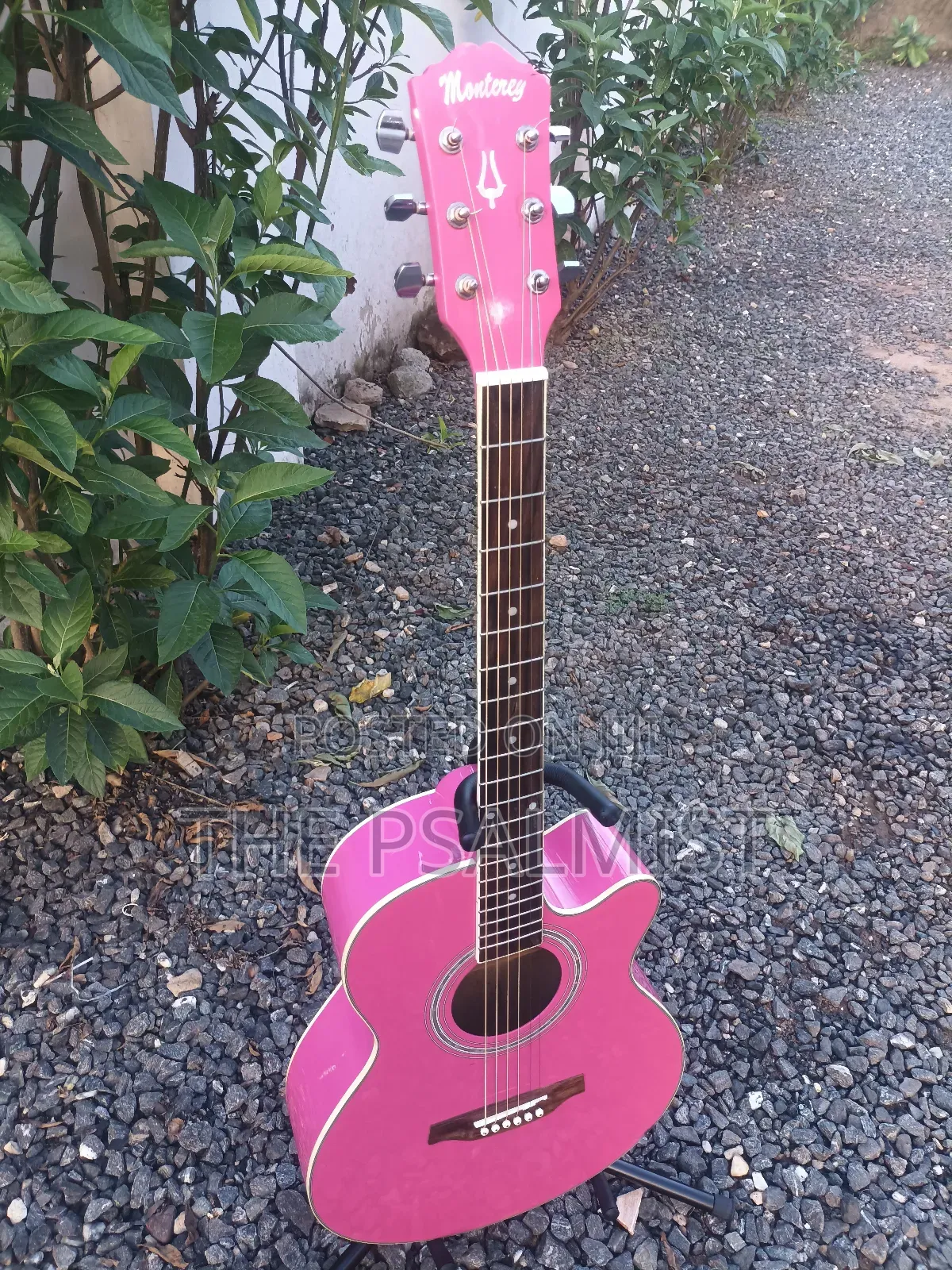 Monterey Ma 15pk Acoustic Guitar