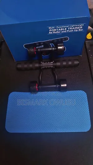 Ab Roller and Push Up Bar