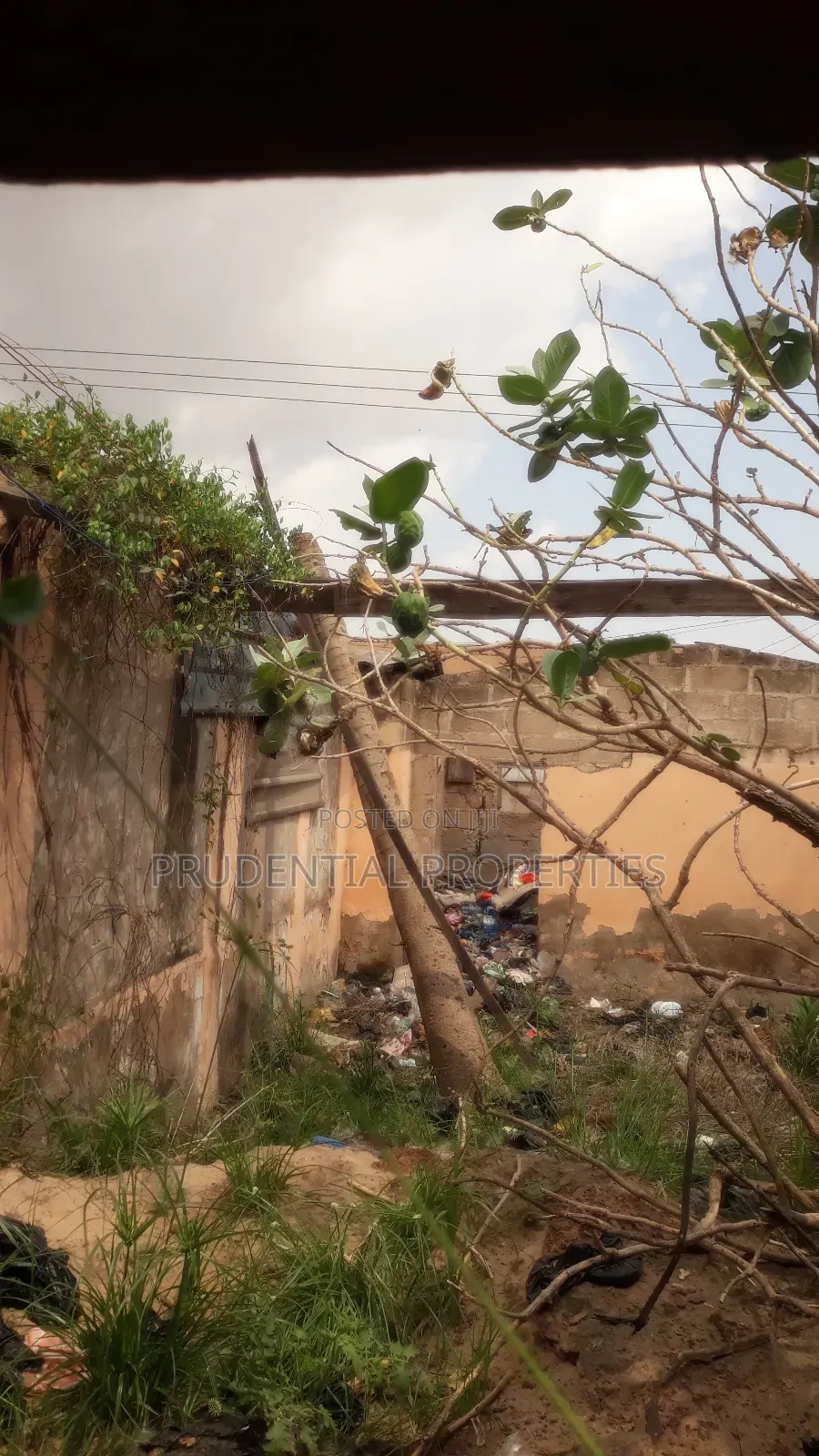Roadside Land for Sale at Adenta
