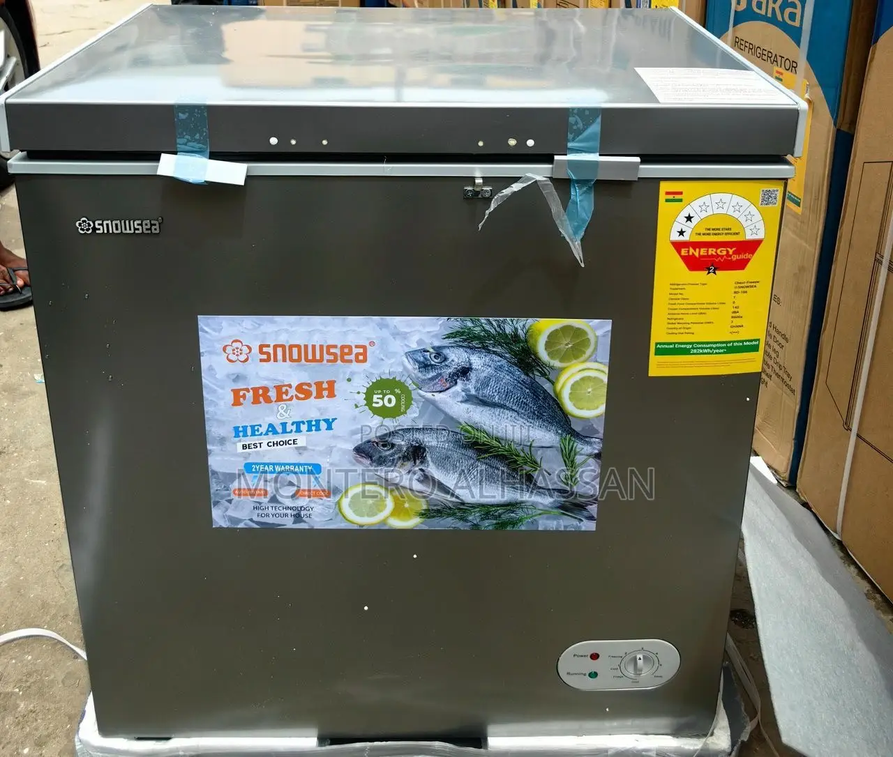 Snowsea Freezer 166literz
