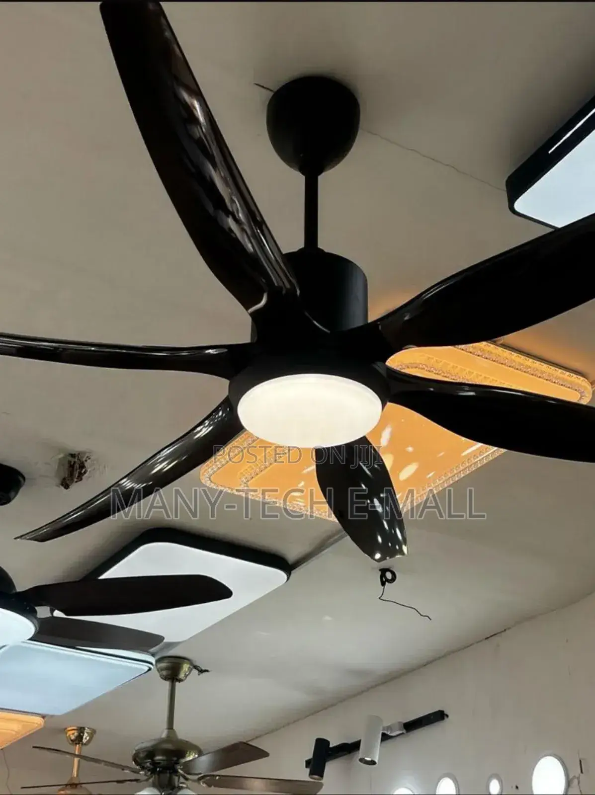 Fan With Light (Plastic Blade)
