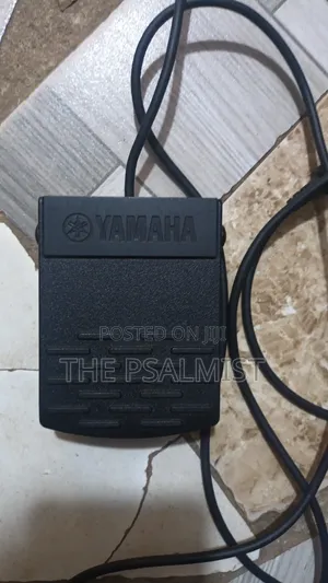Cherub WTB 5 Sustain Pedal