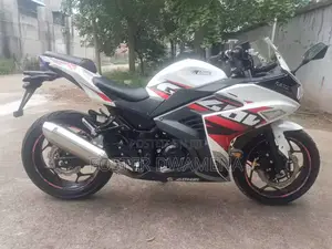 Kawasaki 2023 White