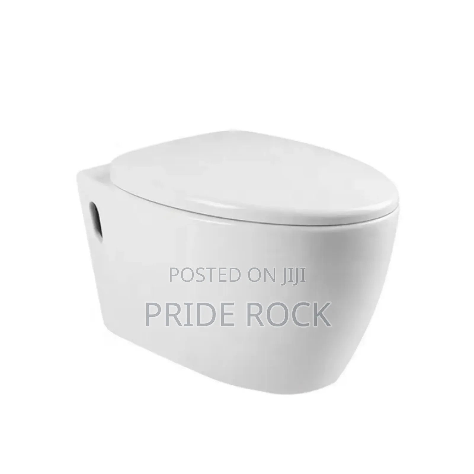 Conceal Wc , Wall Hang Wc With Seat Cover and Tank