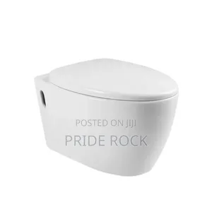 Conceal Wc , Wall Hang Wc With Seat Cover and Tank