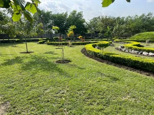 Lands for Sale at Akuse(Akosombo)