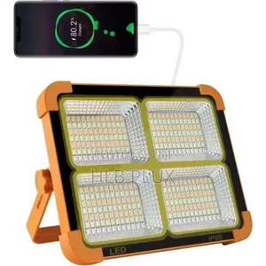 100w Solar Led Light