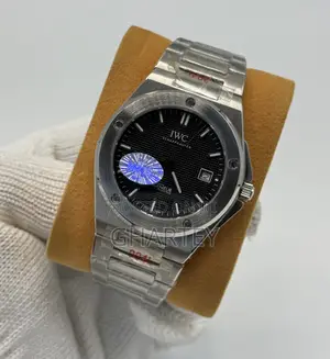 Iwc Ingenieur Automatic Ruthenium Dial – Steel Icon