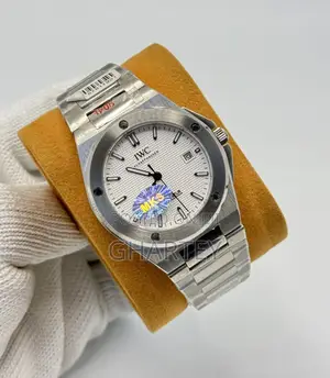 Iwc Ingenieur Automatic Ruthenium Dial – Steel Icon