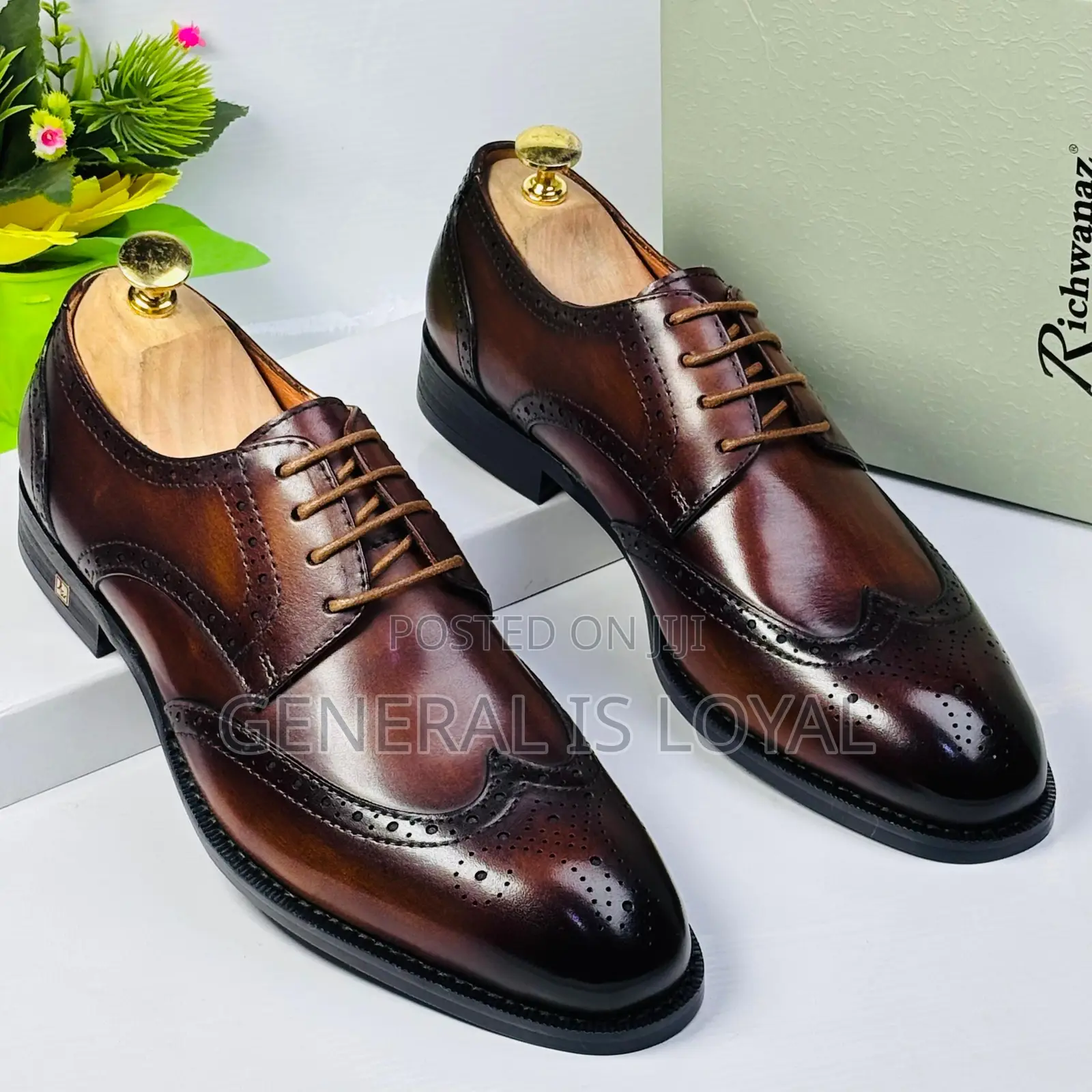 Richwanz Brown Solid Leather Men’S Shoe