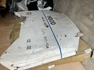 2022,20232024,2025 Hood Or Bonnet For Honda Civic