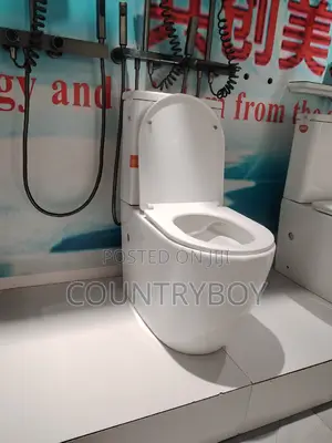Water Closet Egg Shape