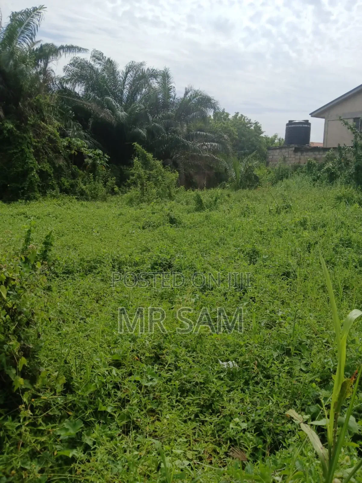 1plot of Land for Sale at New Bortiano