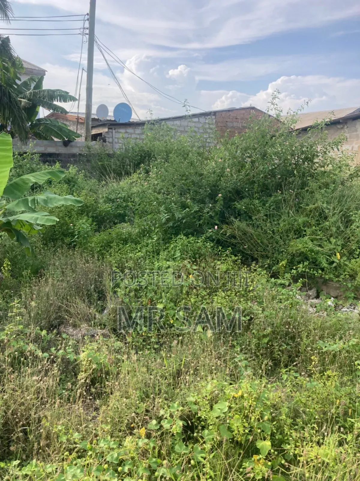 1plot of Land for Sale at New Bortiano