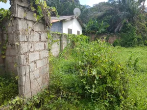 1plot of Land for Sale at New Bortiano