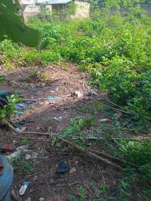 1and Half Plot for Sale at Ablekuma