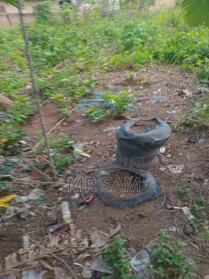 1and Half Plot for Sale at Ablekuma