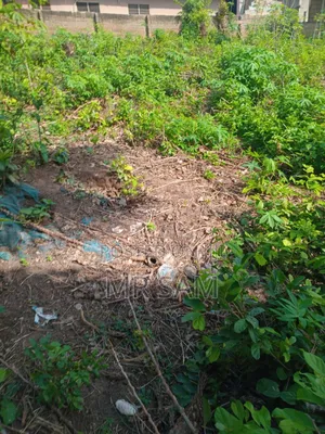 1and Half Plot for Sale at Ablekuma