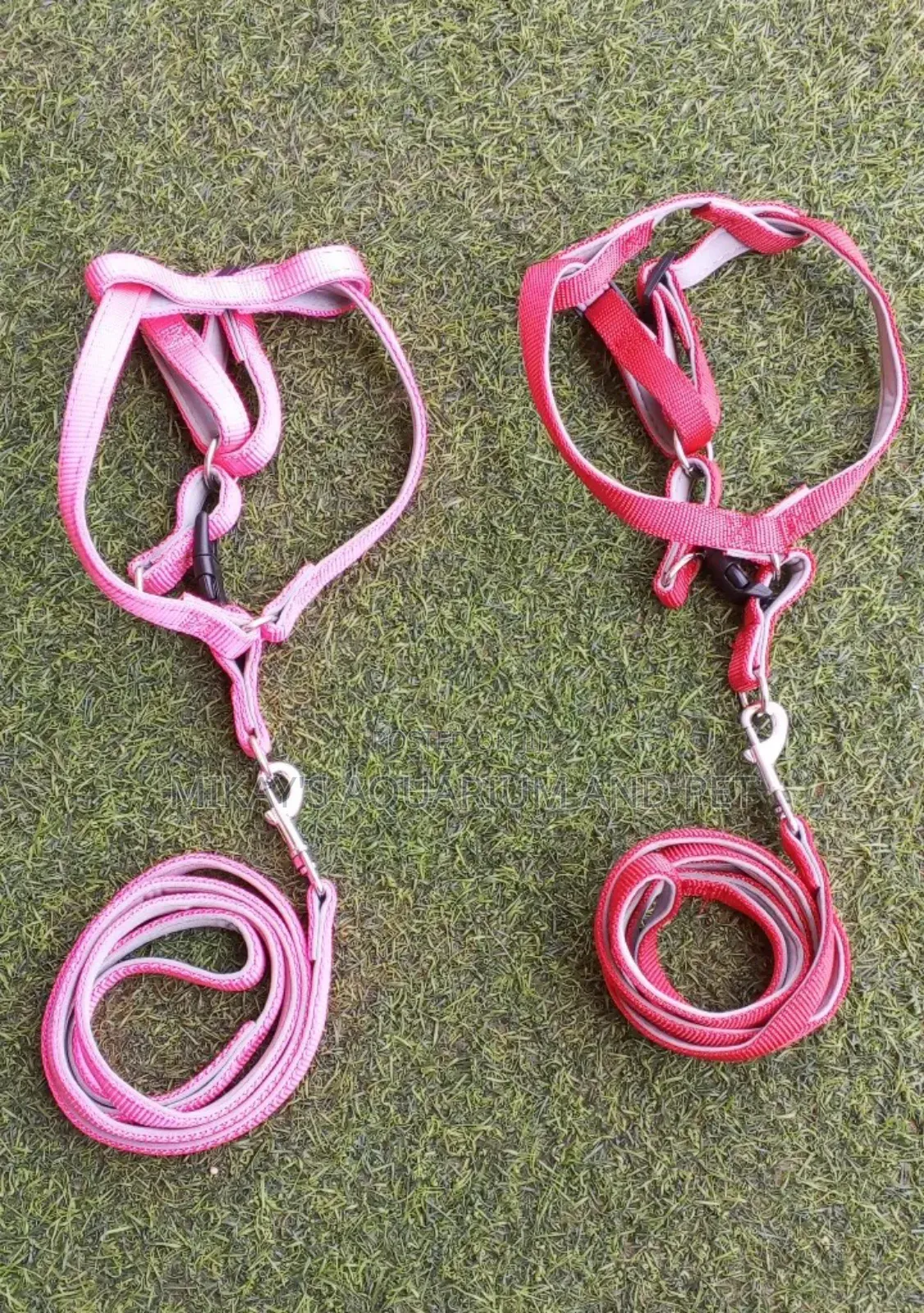 Leash With Harness for Cats and Dogs