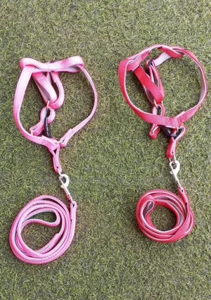 Leash With Harness for Cats and Dogs