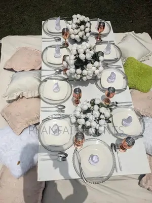 Affordable Picnic Setup Up