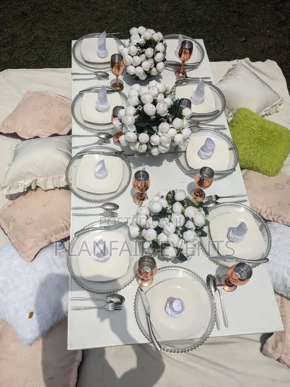 Affordable Picnic Setup Up