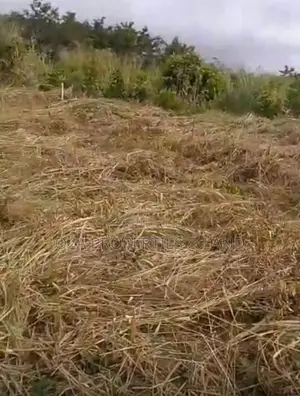 Executive Titled Plot of Land for Sale at Ekumfi Nanaben