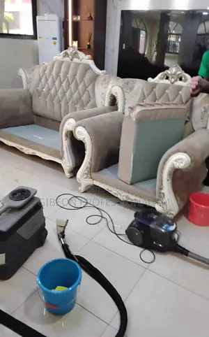 Professional Sofa Cleaning Services. Get Your Sofa Bright With Gibeon