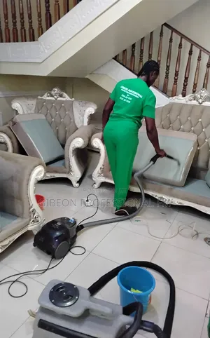 Professional Sofa Cleaning Services. Get Your Sofa Bright With Gibeon