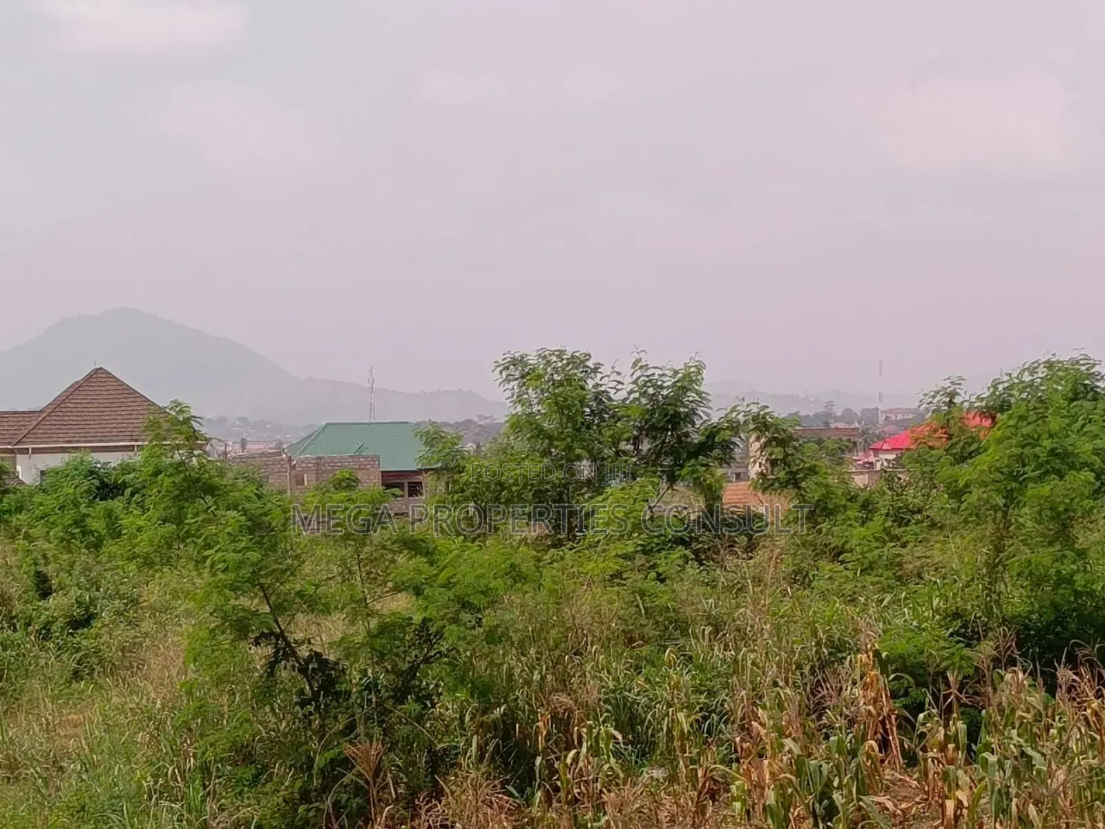 Acres of Farmland for Sale in Eastern Region