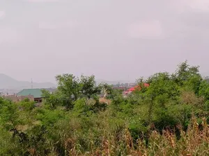 Acres of Farmland for Sale in Eastern Region