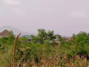 Acres of Farmland for Sale in Eastern Region