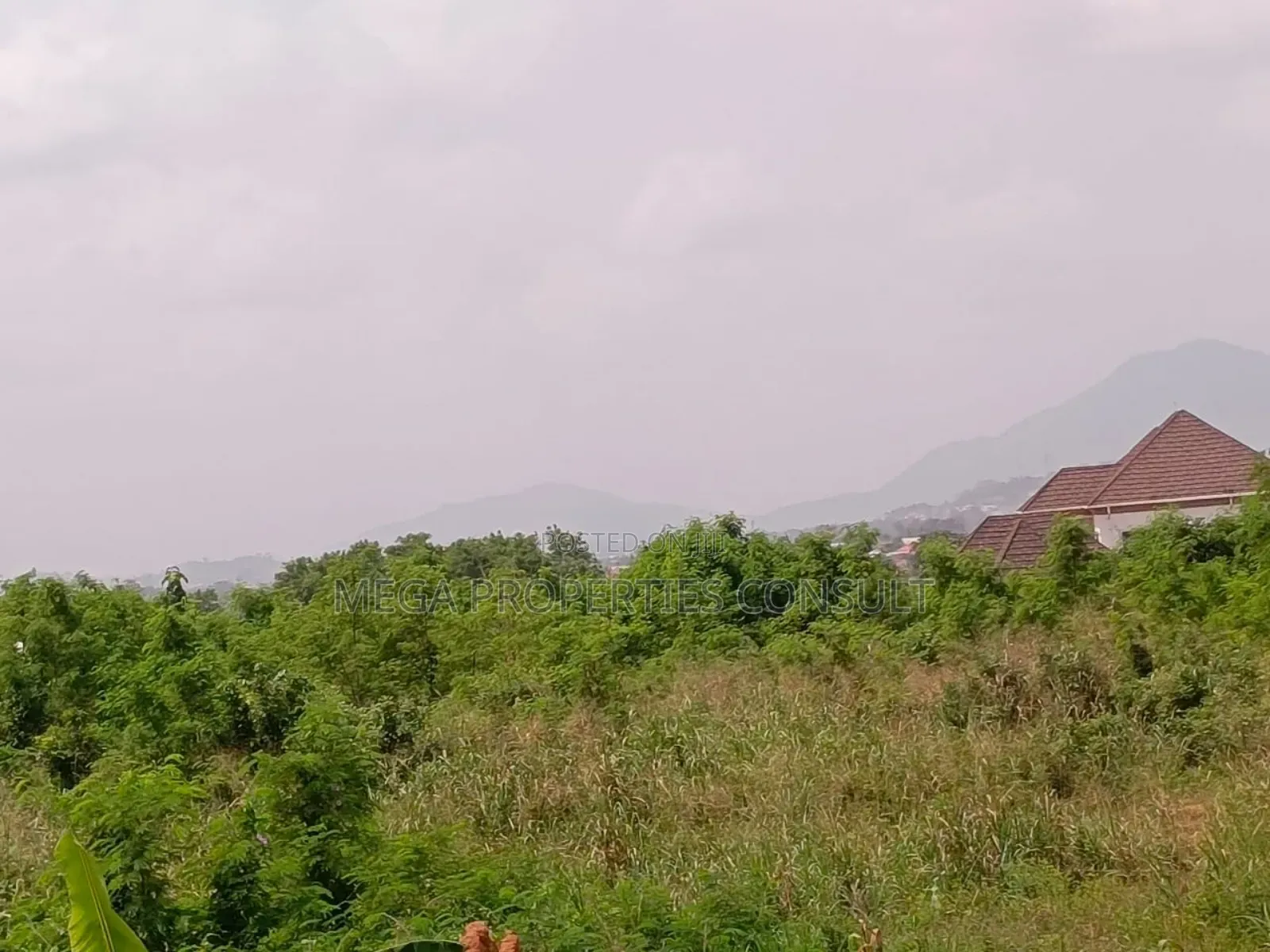 Acres of Farmland for Sale in Eastern Region