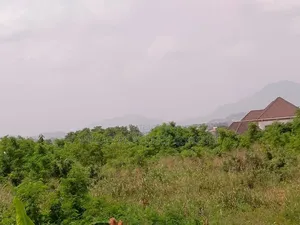 Acres of Farmland for Sale in Eastern Region