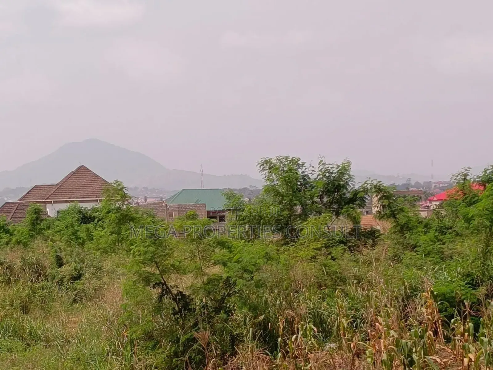 Acres of Farmland for Sale in Eastern Region