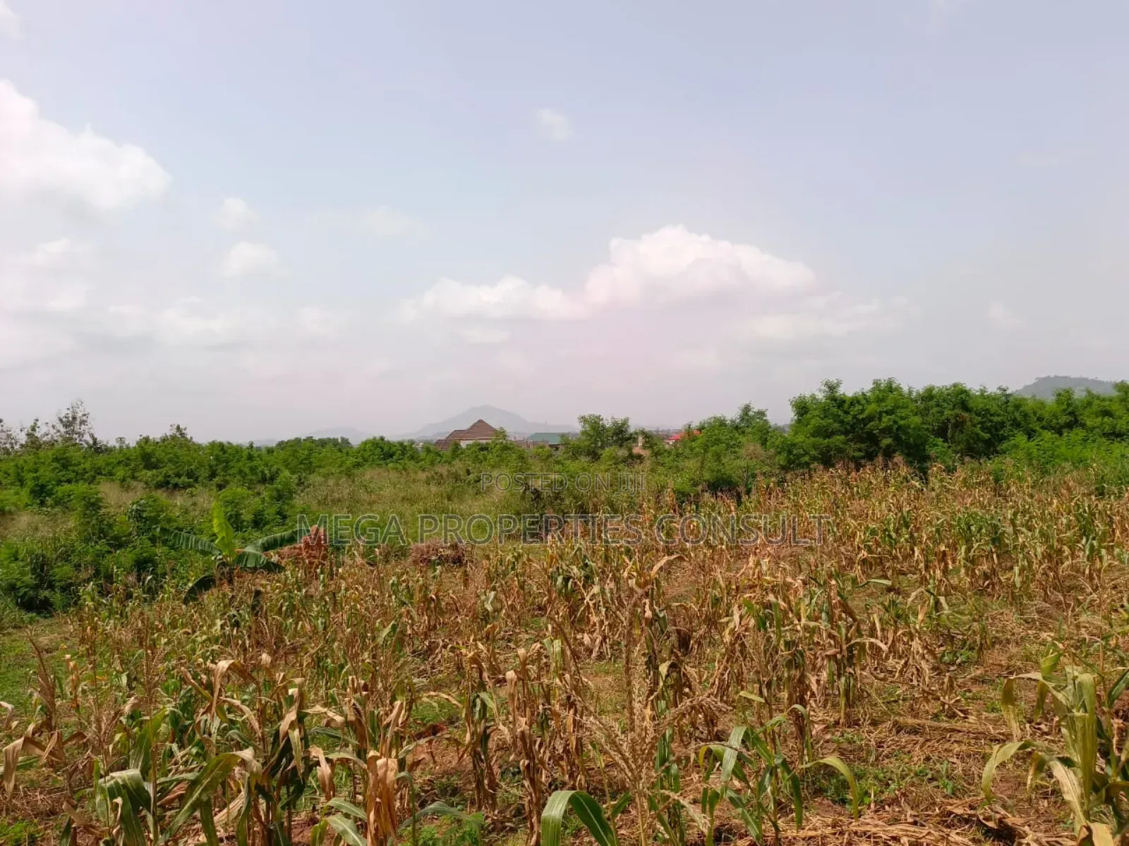 Acres of Farmland for Sale in Eastern Region