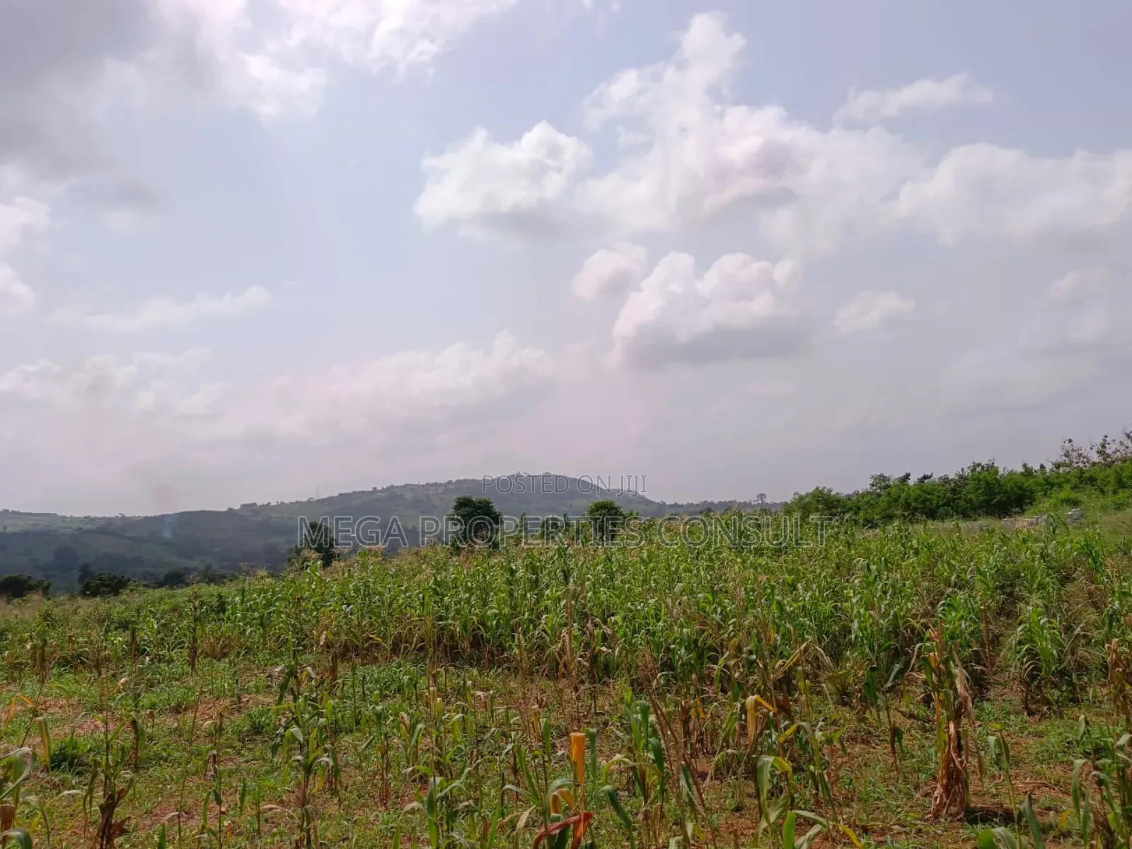 Acres of Farmland for Sale in Eastern Region