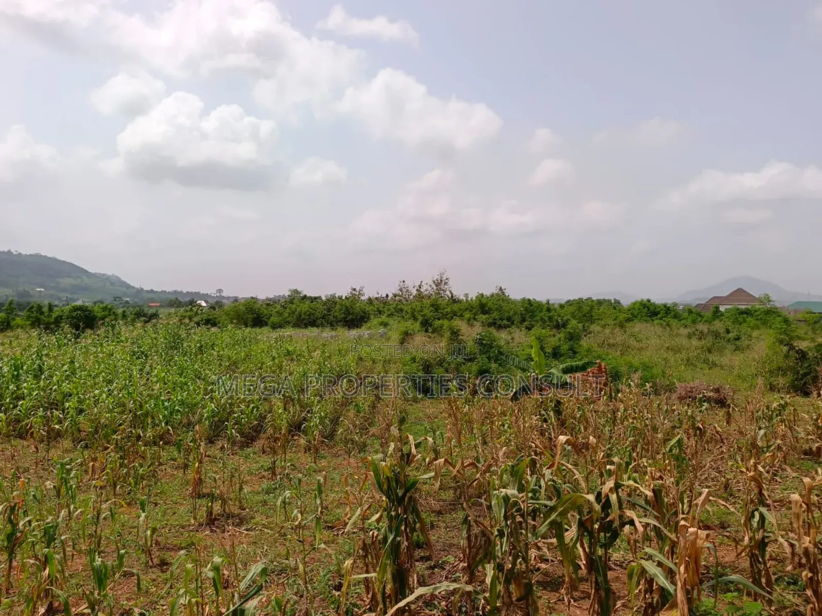Acres of Farmland for Sale in Eastern Region