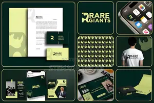 Full Corporate Branding Kits | Stenage Media Ghana