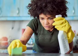 Professional Home Office Cleaning | Shinemasters Gh