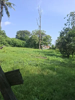 Half Roadside Commercial Plot at Community 7