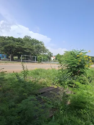 Half Roadside Commercial Plot at Community 7