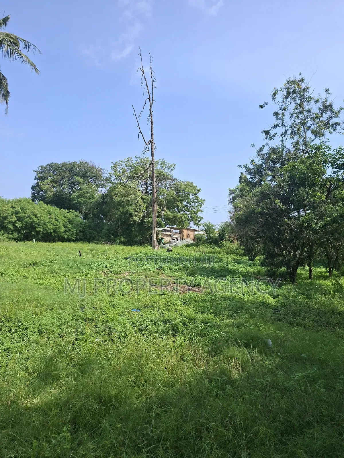 Half Roadside Commercial Plot at Community 7
