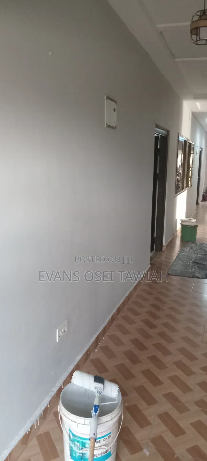 Professional Painter