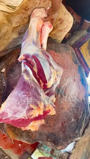 Caw Beef Leg Meat Wholesale Price