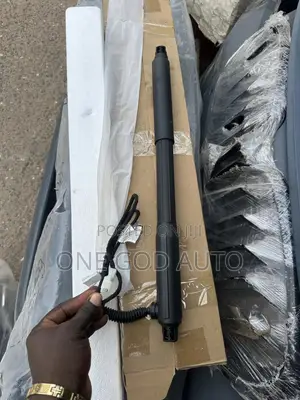BMW X6,E70, 2012,2013,2014,2015,2016,2017,2018,Electronic Boot Shocks